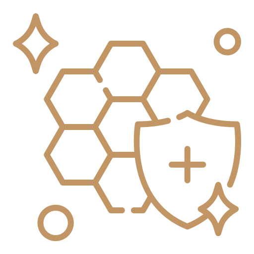 Fase II –<br> PROLIFERAZIONE